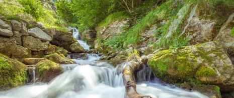 Waterfall of the river Pino in Asturias. Waterfall of the river Pino in Asturias.