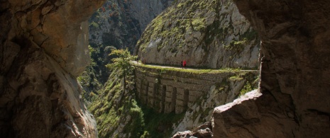 Section of the Cares route in the Picos de Europa National Park, Asturias. Section of the Cares route in the Picos de Europa National Park, Asturias.