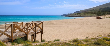 Blick auf Cala Mesquida auf Mallorca, Balearen Blick auf Cala Mesquida auf Mallorca, Balearen