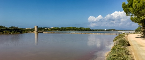 Veduta dell'Estany Pudent nel Parco Naturale di Ses Salines a Formentera, Isole Baleari Veduta dell'Estany Pudent nel Parco Naturale di Ses Salines a Formentera, Isole Baleari