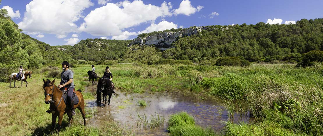 Horse riding tourism in Minorca Horse riding tourism in Minorca