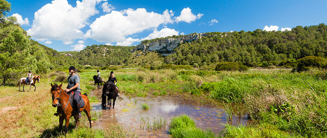 Turismo equestre a Minorca Turismo equestre a Minorca