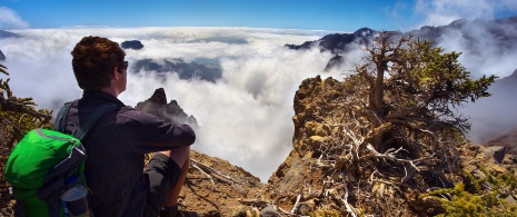 Podczas wycieczki w Parku Narodowym Caldera de Taburiente Podczas wycieczki w Parku Narodowym Caldera de Taburiente