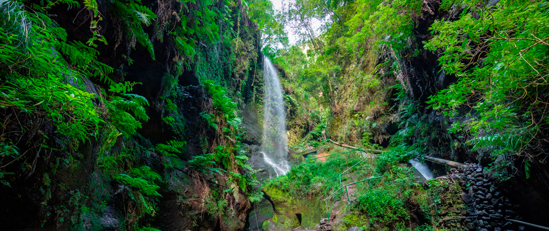 Detail of waterfalls at the Marcos y Cordero springs in Los Tilos forest on La Palma, Canary Islands Detail of waterfalls at the Marcos y Cordero springs in Los Tilos forest on La Palma, Canary Islands
