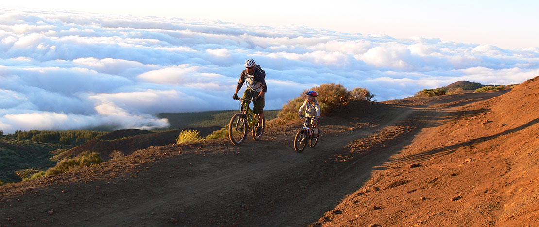 Bicicleta de montaña Bicicleta de montaña