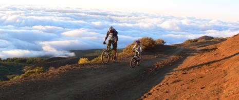 Bicicleta de montaña Bicicleta de montaña