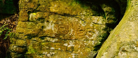 Rock carving in the cultural park of La Zarza y La Zarcita de Garafía on La Palma, Canary Islands Rock carving in the cultural park of La Zarza y La Zarcita de Garafía on La Palma, Canary Islands