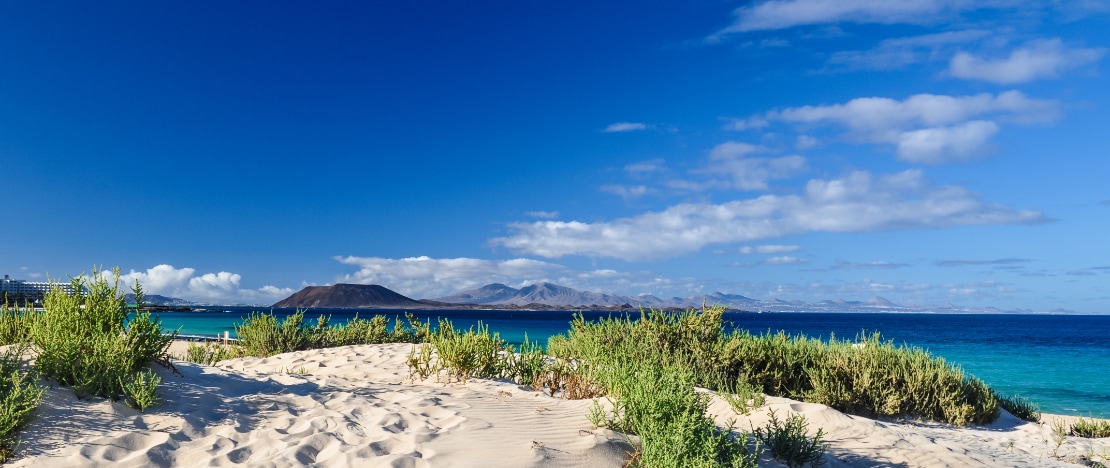 Blick auf die Dünen von Corralejo auf Fuerteventura, Kanarische Inseln
