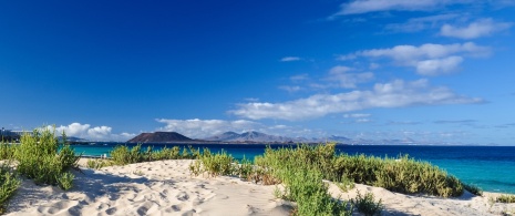 Blick auf die Dünen von Corralejo auf Fuerteventura, Kanarische Inseln Blick auf die Dünen von Corralejo auf Fuerteventura, Kanarische Inseln