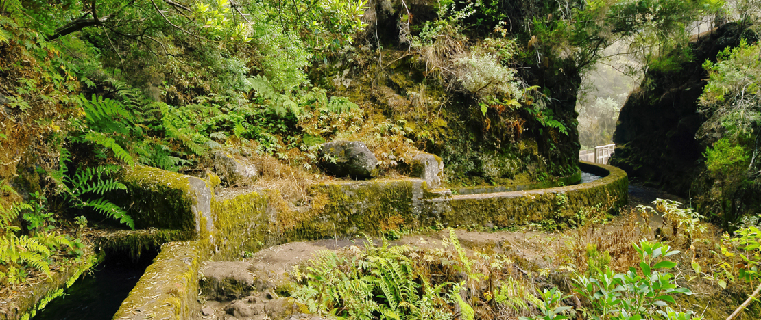 Detail of the Marcos y Cordero path in La Palma, Canary Islands