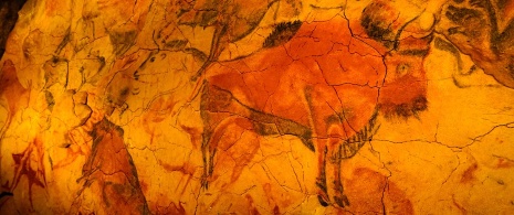 Bisonte en la Cueva de Altamira Bisonte en la Cueva de Altamira