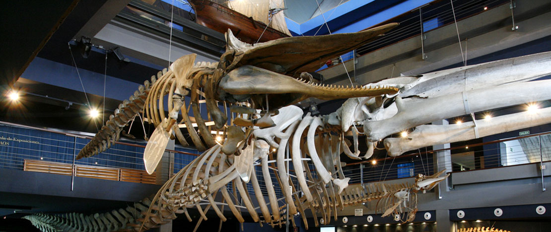 Schifffahrtsmuseum der Biskaya Schifffahrtsmuseum der Biskaya