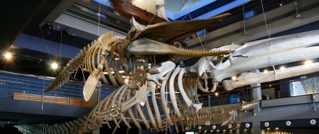Schifffahrtsmuseum der Biskaya Schifffahrtsmuseum der Biskaya
