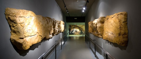 Altamira Cave Museum Altamira Cave Museum