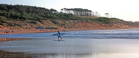 Surfer at Somo Beach, Cantabria Surfer at Somo Beach, Cantabria
