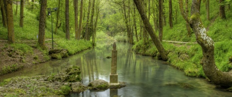 Źródło rzeki Ebro w mieście Fontibre w Kantabrii Źródło rzeki Ebro w mieście Fontibre w Kantabrii