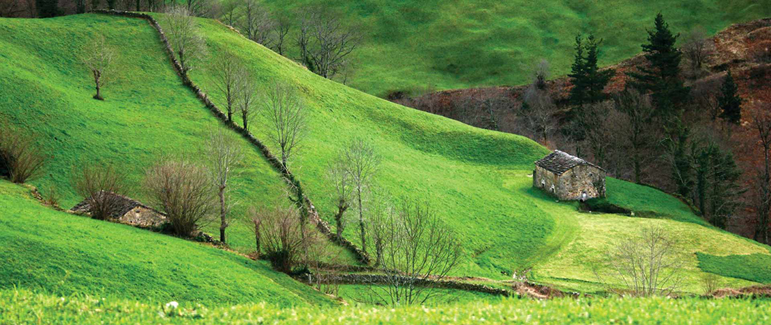 Vega de Pas, Cantabria