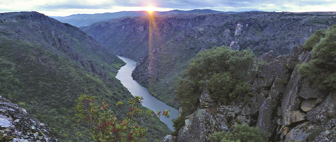 Colagón Tío Paco viewpoint. Arribes del Duero. Zamora. Colagón Tío Paco viewpoint. Arribes del Duero. Zamora.