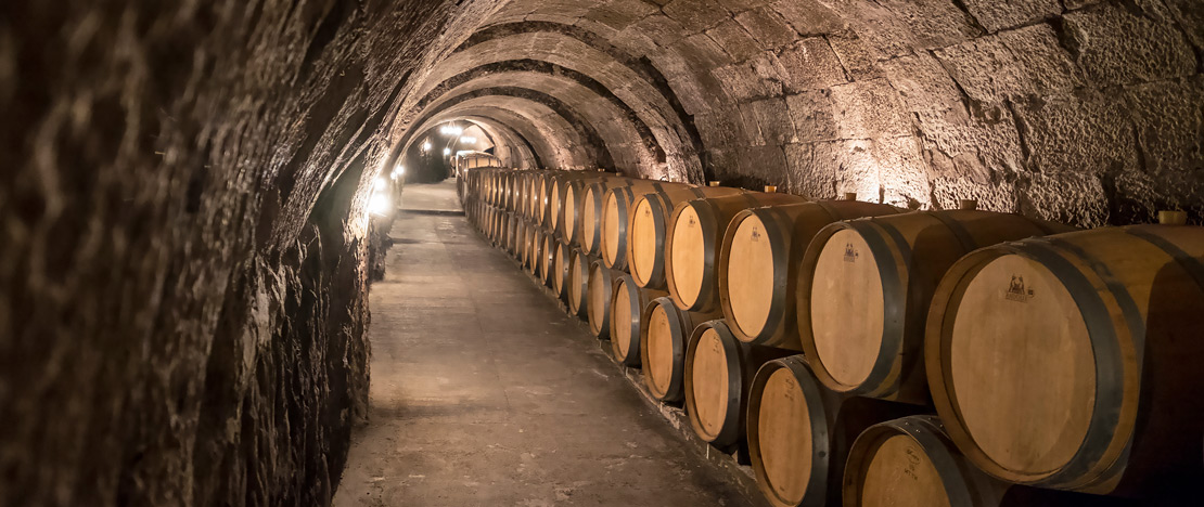 Winery in Ribera del Duero, Castile and León Winery in Ribera del Duero, Castile and León