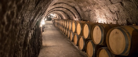 Winery in Ribera del Duero, Castile and León Winery in Ribera del Duero, Castile and León