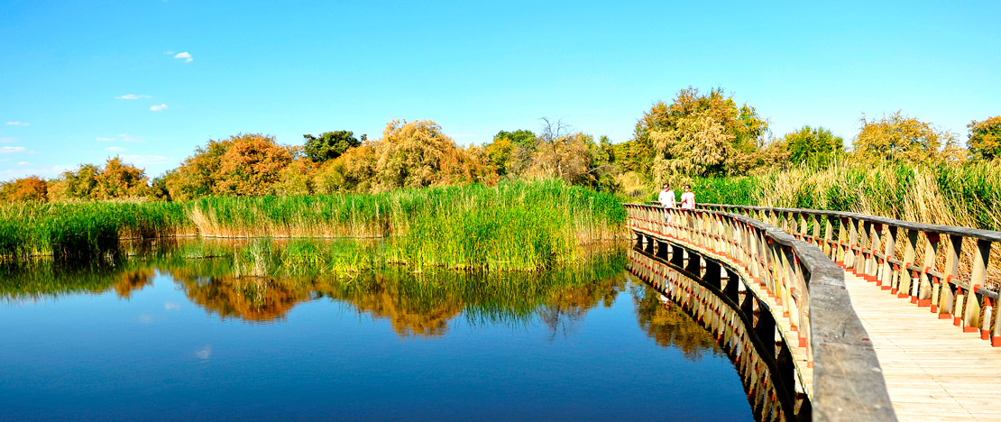 Parco Nazionale delle Tablas de Daimiel a Castiglia-La Mancia Parco Nazionale delle Tablas de Daimiel a Castiglia-La Mancia