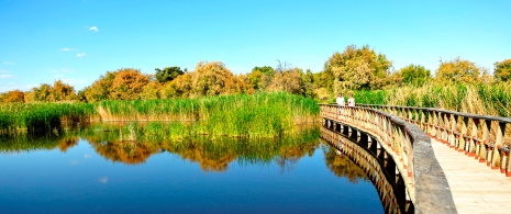 Parco Nazionale delle Tablas de Daimiel a Castiglia-La Mancia Parco Nazionale delle Tablas de Daimiel a Castiglia-La Mancia
