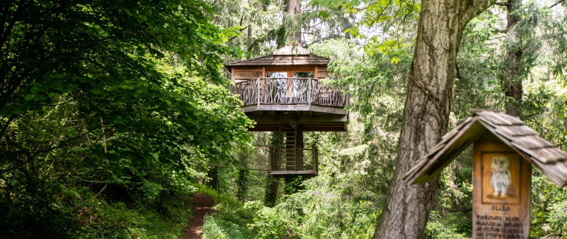 Tree house in the forests of Sant Hilari Sacalm in Girona, Catalonia Tree house in the forests of Sant Hilari Sacalm in Girona, Catalonia