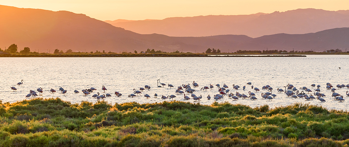 Atardecer en el Parque Natural del Delta del Ebre, Tarragona