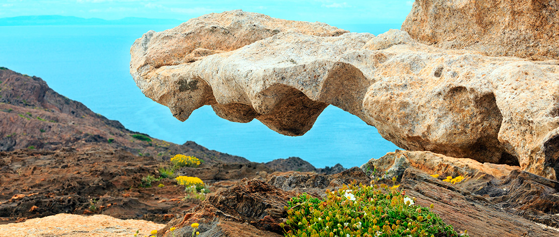 Particolare del paesaggio della costa di Cap de Creus