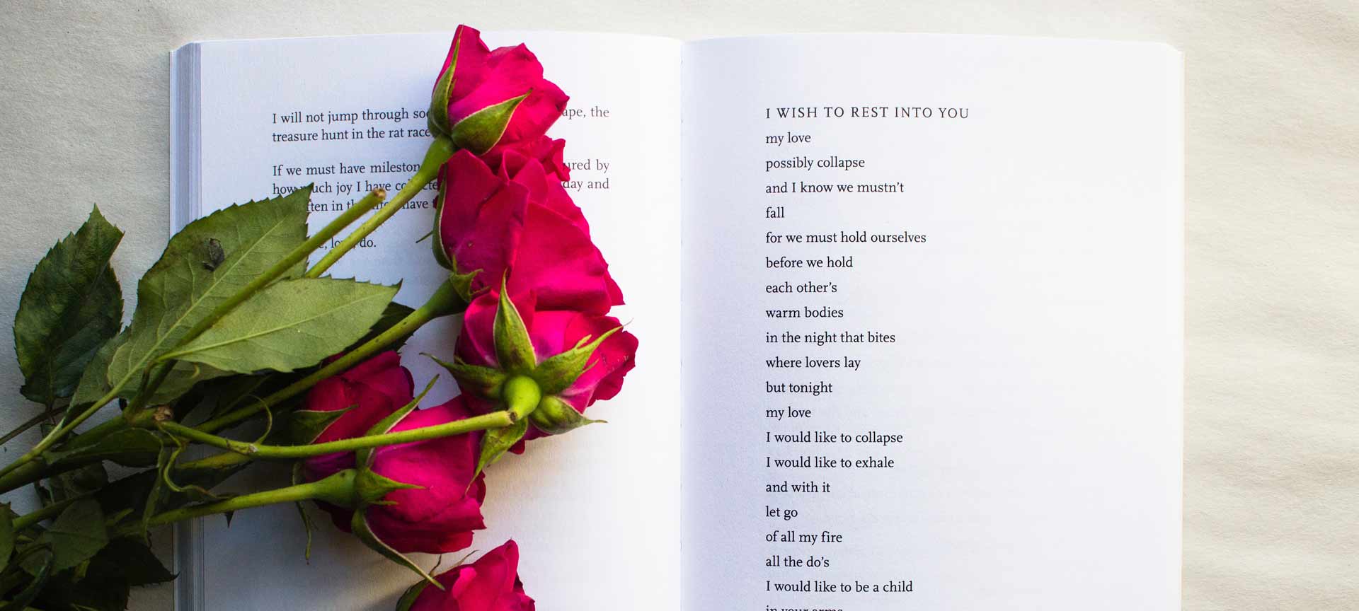 Rose und Buch Rose und Buch