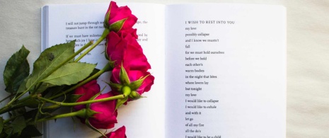 Rose und Buch Rose und Buch