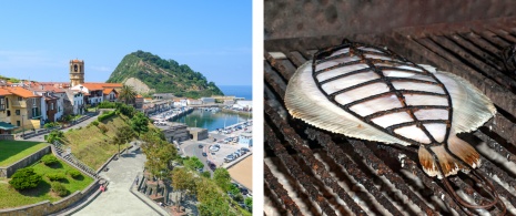 Port of Getaria in Gipuzkoa province / Roast turbot bought in Getaria market Port of Getaria in Gipuzkoa province / Roast turbot bought in Getaria market