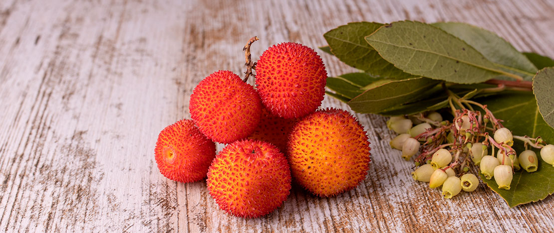 Arbutus-Frucht Arbutus-Frucht