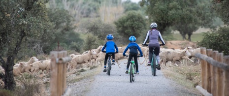 Une mère et ses enfants pédalent sur la Voie Verte Mina La Jayona à Badajoz Une mère et ses enfants pédalent sur la Voie Verte Mina La Jayona à Badajoz