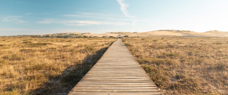 Natural Park of the Corrubedo Dune Complex and Carregal and Vixán Lagoons in A Coruña, Galicia Natural Park of the Corrubedo Dune Complex and Carregal and Vixán Lagoons in A Coruña, Galicia