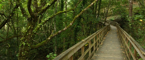 Walkways over the River Mao in Ribeira Sacra, Galicia Walkways over the River Mao in Ribeira Sacra, Galicia