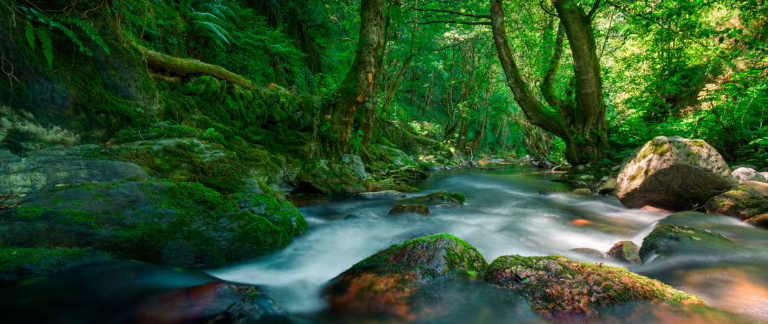 Particolare del fiume sulla Sierra di O Courel a Lugo, Galizia Particolare del fiume sulla Sierra di O Courel a Lugo, Galizia