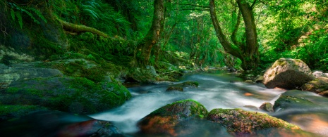 Particolare del fiume sulla Sierra di O Courel a Lugo, Galizia Particolare del fiume sulla Sierra di O Courel a Lugo, Galizia