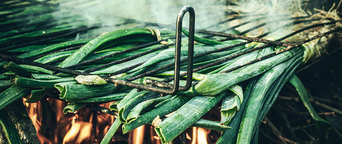 Calçots Calçots