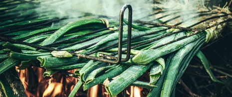 Calçots Calçots