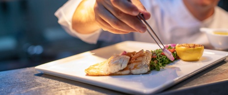 Chef plating food Chef plating food