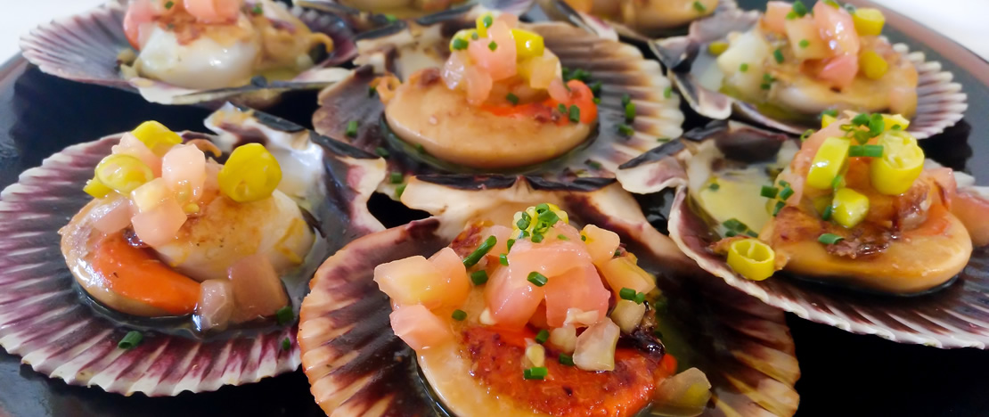 Galician scallops Galician scallops