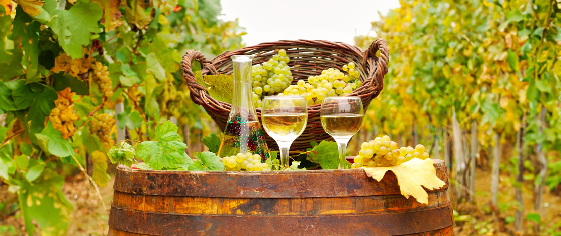 Albariño wine Albariño wine