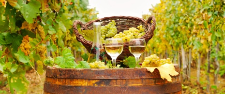 Albariño wine Albariño wine