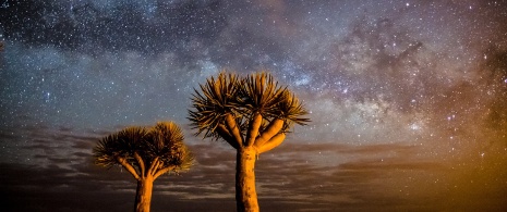 Stargazing and the Milky Way in La Palma, Gran Canaria Stargazing and the Milky Way in La Palma, Gran Canaria