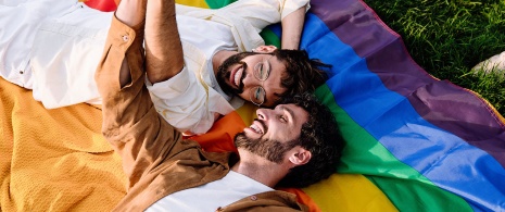Couple gay sur le drapeau arc-en-ciel Couple gay sur le drapeau arc-en-ciel