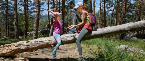 Matka i córka bawią się w Parku Narodowym Sierra de Guadarrama, Wspólnota Madrytu Matka i córka bawią się w Parku Narodowym Sierra de Guadarrama, Wspólnota Madrytu
