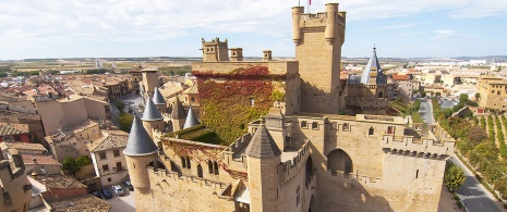 Château d'Olite, Navarre Château d'Olite, Navarre