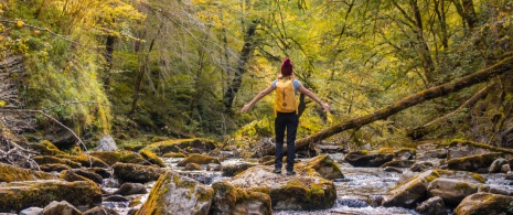 Un turista contempla la Selva de Irati, Navarra Un turista contempla la Selva de Irati, Navarra