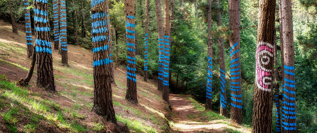 Oma Painted Forest, Biscay Oma Painted Forest, Biscay